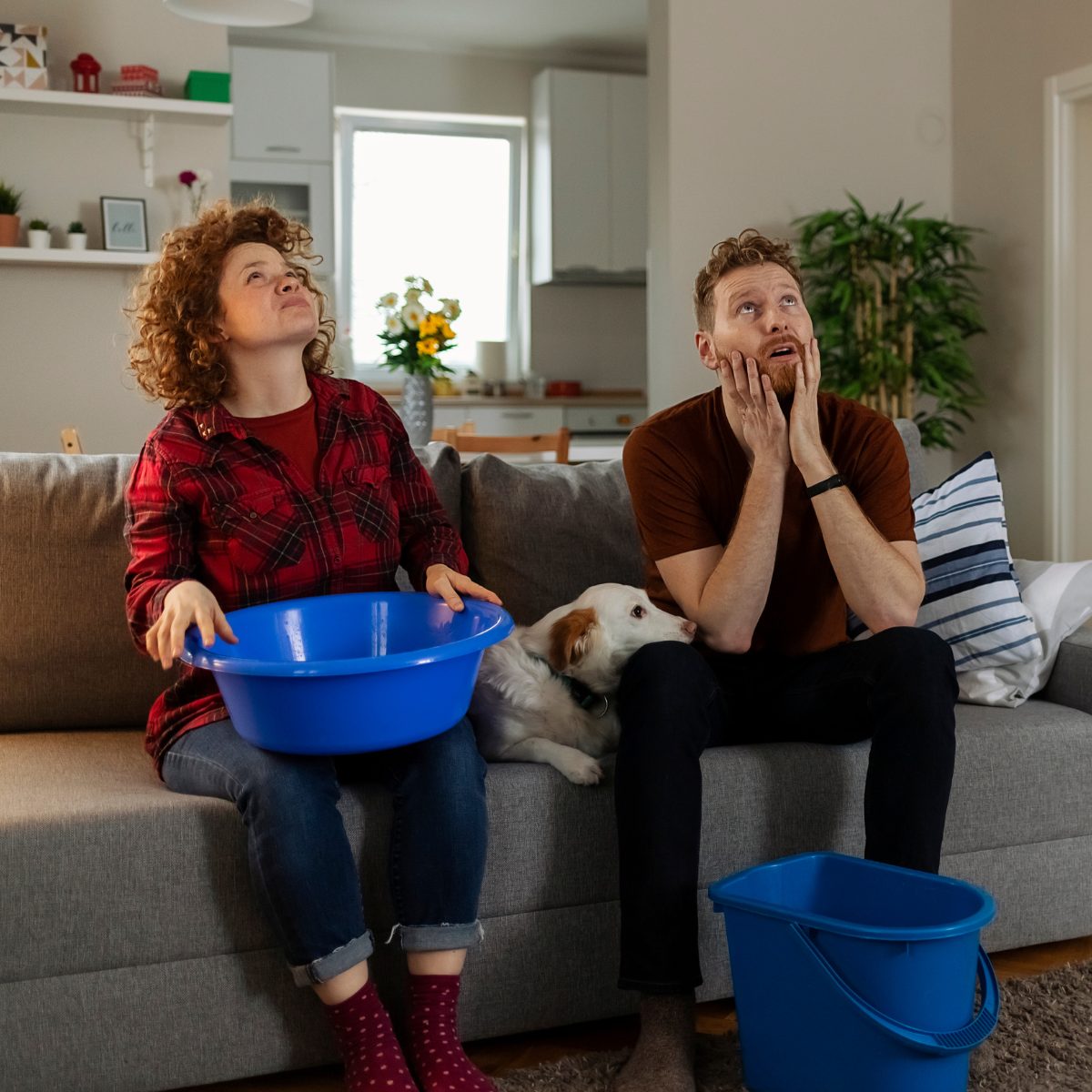 A couple sitting on a couch holding buckets, looking up at a leaking ceiling